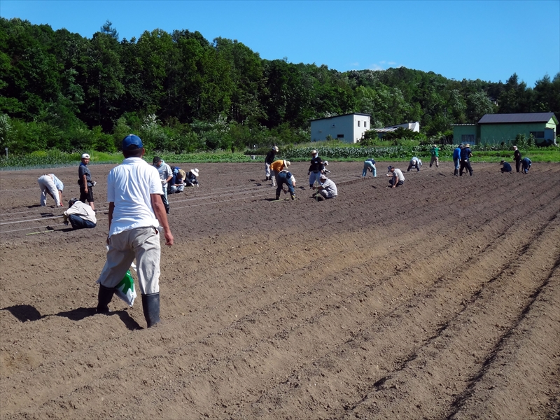 企業農園”大人の食育”_正式リリース