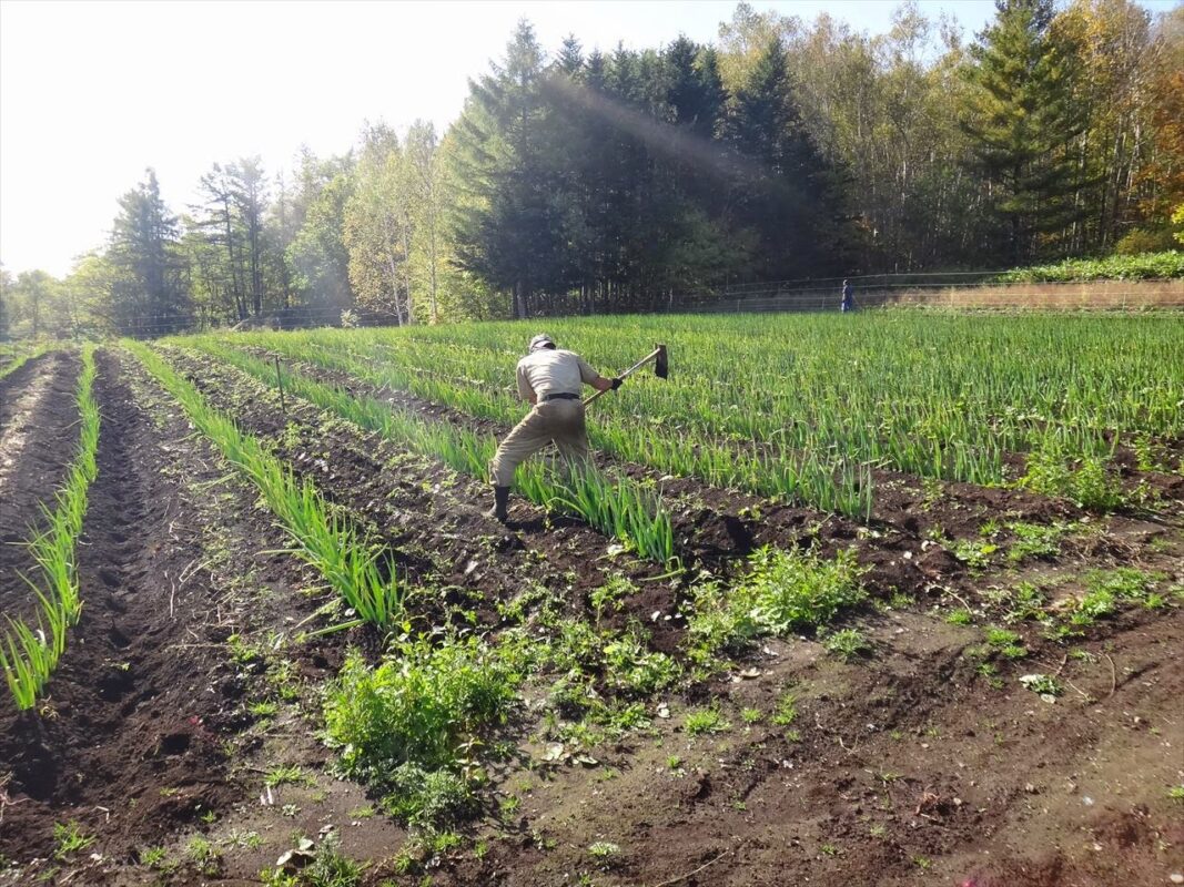 企業農園”大人の食育”_正式リリース